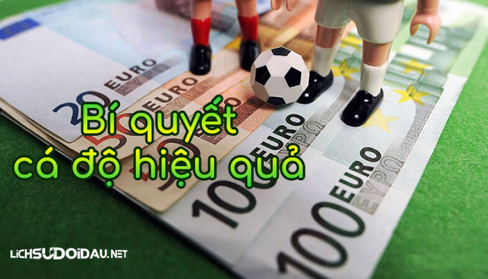 luật cá cược bóng đá